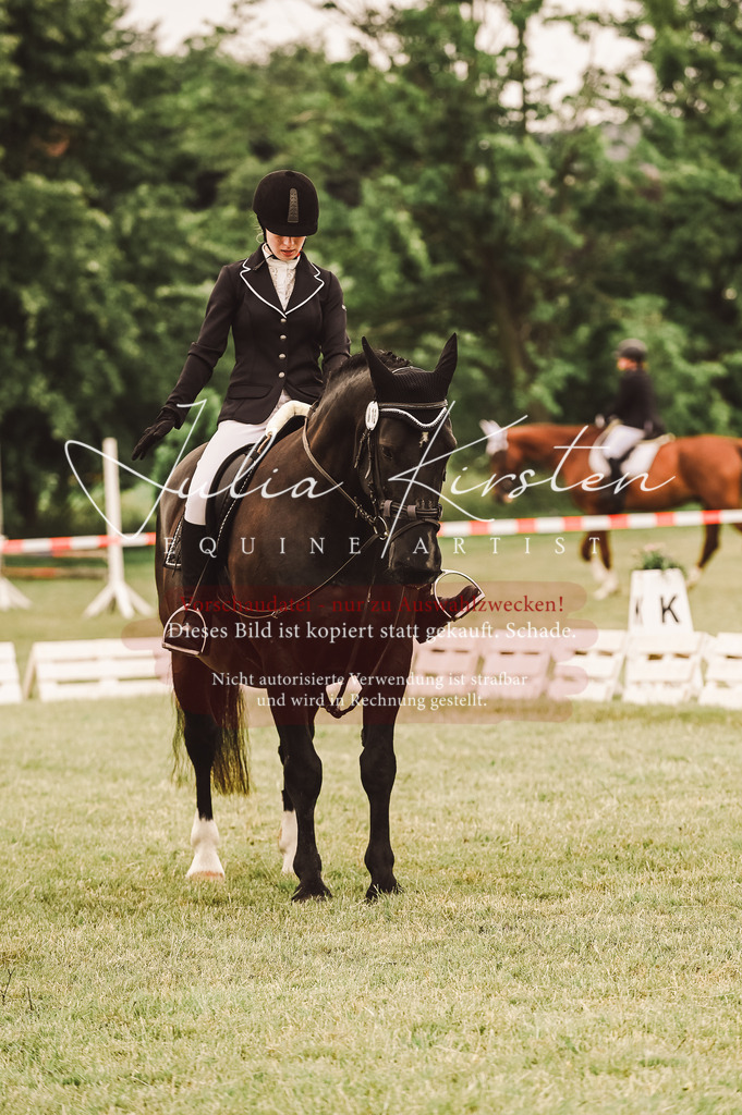 DSC_5028 | Pferde- und Turnierfotografie in Westsachsen. Pferdeportraits, Auftragszeichnungen und intuitive Kunst.