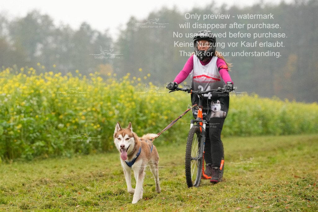 Visbeck_Sa_Scooter_Hc-166 | stephaniefillaphotographie - Realisiert mit Pictrs.com