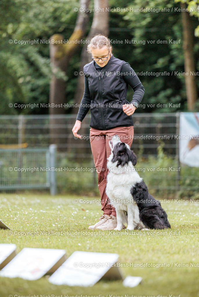 RO-Blumenthal-2026-Nickbest-Hundefotografie-2271 | Dein Hund! Dein Moment! Deine Erinnerungen! Hundefotografie in Bremen Blumenthal. Ich fange die besonderen Momente deines Vierbeiners ein – ob Indoor mit Blitzanlage oder in der freien Natur. Sicher dir dein Moment und dein Termin für eure Erinnerungen.