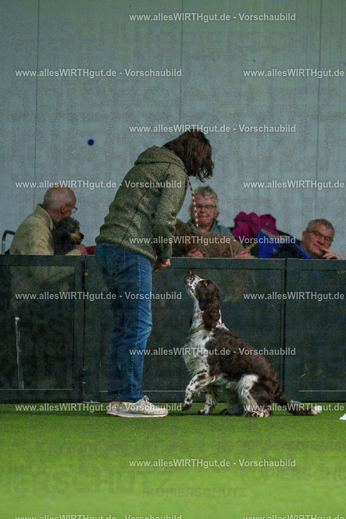 7R505131 | Professionelle Tierfotografie in Mönchengladbach von Daniel Wirth (allesWIRTHgut). Liebevolle & natürliche Bilder von Hunden & Katzen für unvergessliche Erinnerungen.