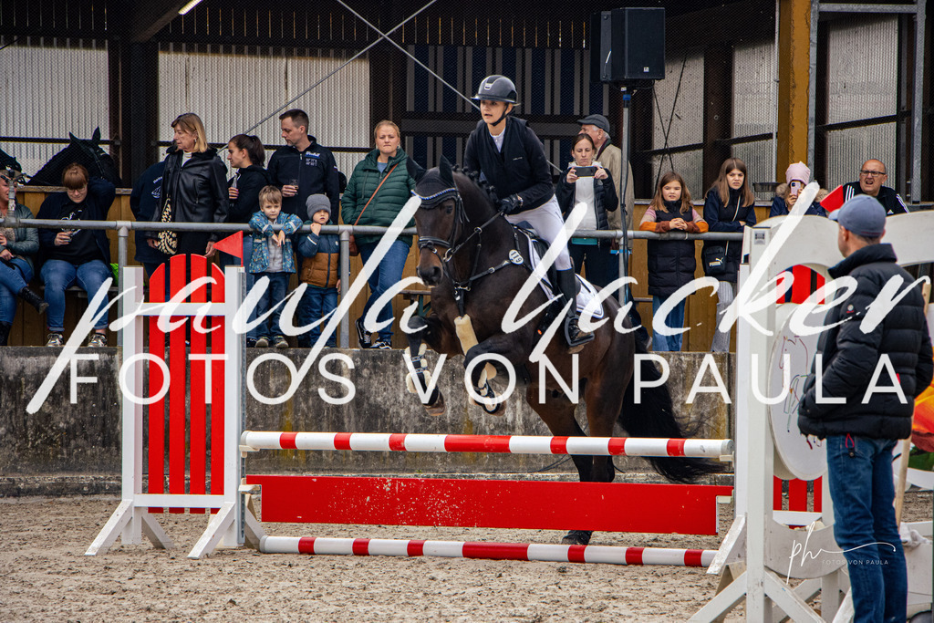 IMG_3509 | Erleben Sie dynamische Sport- und emotionale Tierfotografie in Süddeutschland mit Fotos von Paula. Spezialisiert auf Pferde- und Hundefotografie sowie Sportevents. Kontaktieren Sie mich für einzigartige und ausdrucksstarke Bilder Ihrer besonderen Momente. - Realisiert mit Pictrs.com