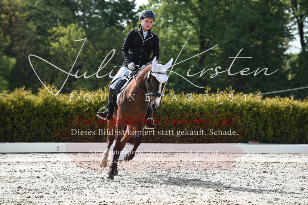 20230518_JK-Röhrsdorf-09-1380 | Pferde- und Turnierfotografie in Westsachsen. Pferdeportraits, Auftragszeichnungen und intuitive Kunst.