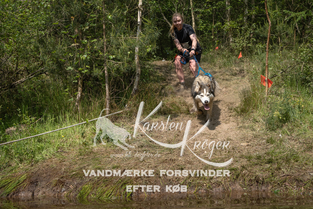 1038DKK991089 | kk-dogfotos