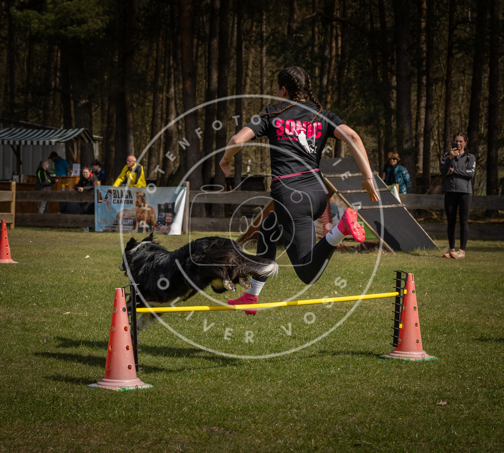 Pfotenfotografie_DV3A4093 | Hundefotografie, Tierfotograf, Pfotenfotografie, Fotoshooting Hund, Hunde Portrait, Hundesport, Hundeportraits, Heideshooting, Hunde, Sportfotograf, Hundefotograf, Turnierhundsport, THS,  - Realisiert mit Pictrs.com