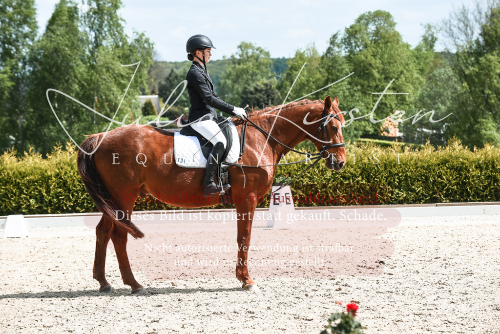 20230518_JK-Röhrsdorf-11-0504 | Pferde- und Turnierfotografie in Westsachsen. Pferdeportraits, Auftragszeichnungen und intuitive Kunst.