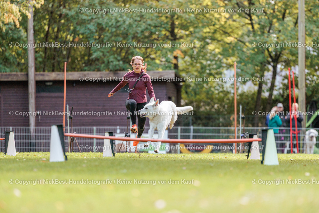 THS-HSV-Blumenthal-2026-Nickbest-Hundefotografie-2464 | Dein Hund! Dein Moment! Deine Erinnerungen! Hundefotografie in Bremen Blumenthal. Ich fange die besonderen Momente deines Vierbeiners ein – ob Indoor mit Blitzanlage oder in der freien Natur. Sicher dir dein Moment und dein Termin für eure Erinnerungen.