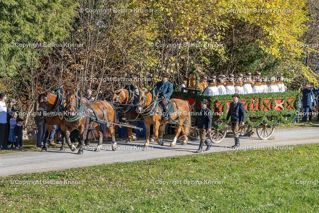 LBT25-768 | foto-bettina-krinner - Realisiert mit Pictrs.com