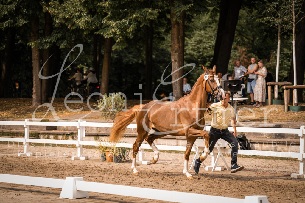 7.Fr00016 | Leoni Ertmer Photography - Realisiert mit Pictrs.com