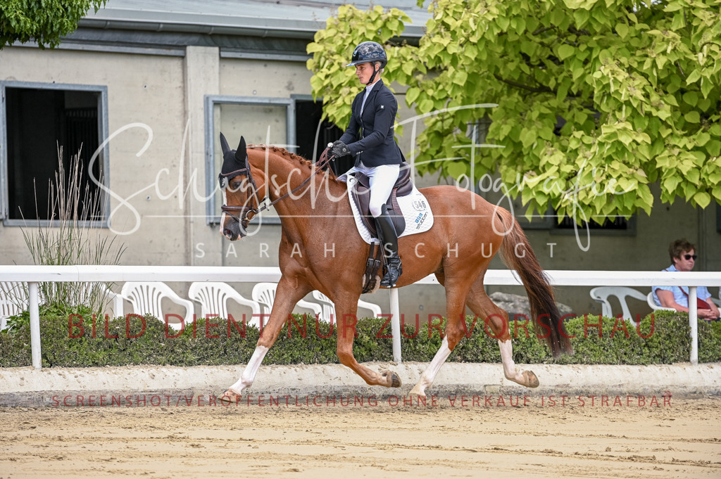 Schugtsche-Aluta25-48.Reitpferfdeprf.-139 | Schugtsche Fotografie - Realisiert mit Pictrs.com