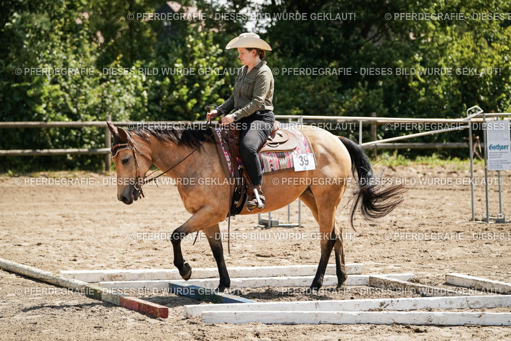 DSC06642 | Pferdegrafie