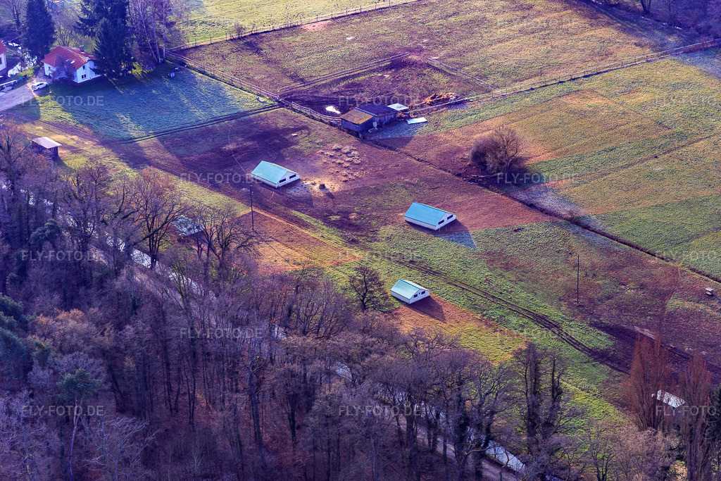 Luftbild: Mobeler Hühnerstall der Biohühnerfarm von Hofladen Stoltz an der Hardtmühle in Kandel im Bundesland Rheinland-Pfalz in Deutschland. Foto: IMG_076807.jpg vom 28.03.2015 durch Werner Riehm/FLY-FOTO.de