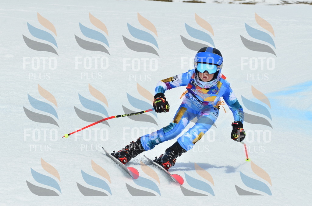 _ELE2752 | holidayphoto