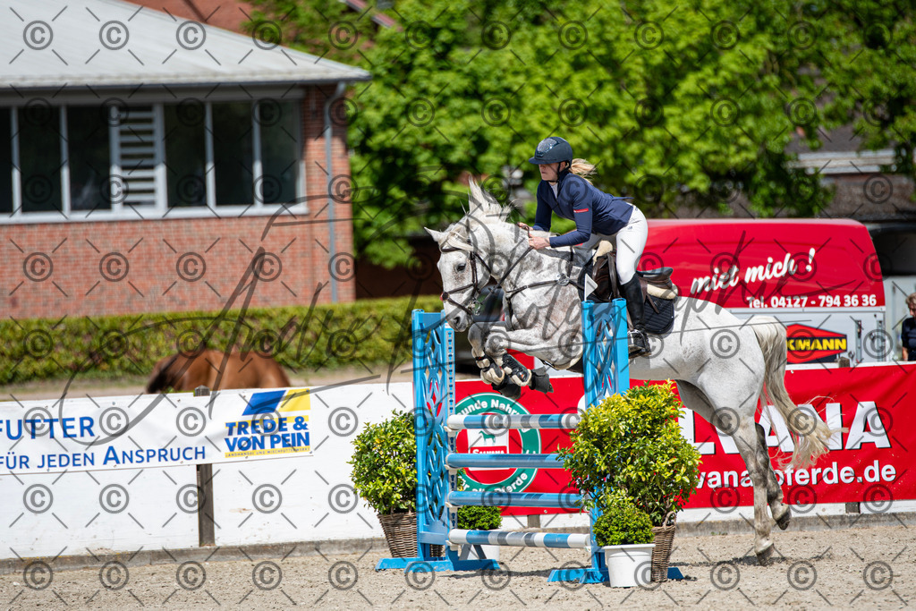 KPT_5288 | andre_photographic