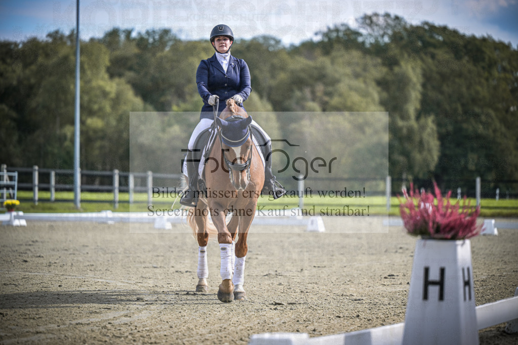 DOS_0343 | Entdecke hochwertige Reitturnierfotos von Foto Oger. Professionell, emotional und authentisch – jetzt Lieblingsmomente im Shop bestellen.Deutschlandweite Turnierfotografie. - Realisiert mit Pictrs.com