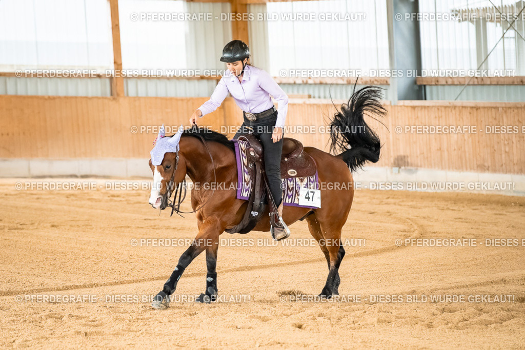 DSC02043 | Pferdegrafie