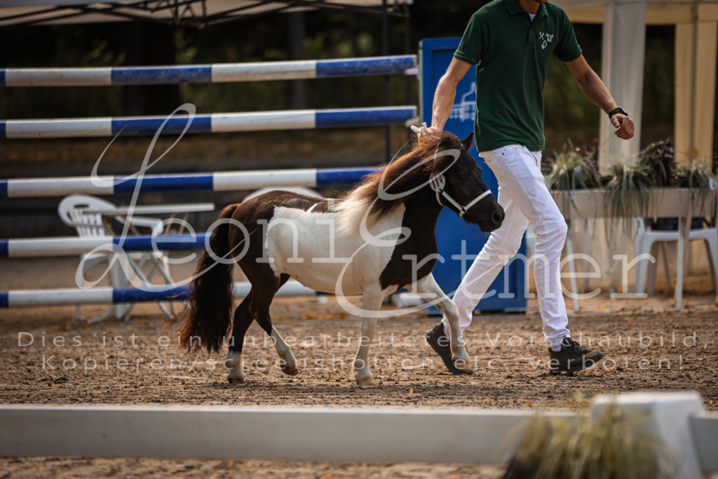 01.So00093 | Leoni Ertmer Photography - Realisiert mit Pictrs.com