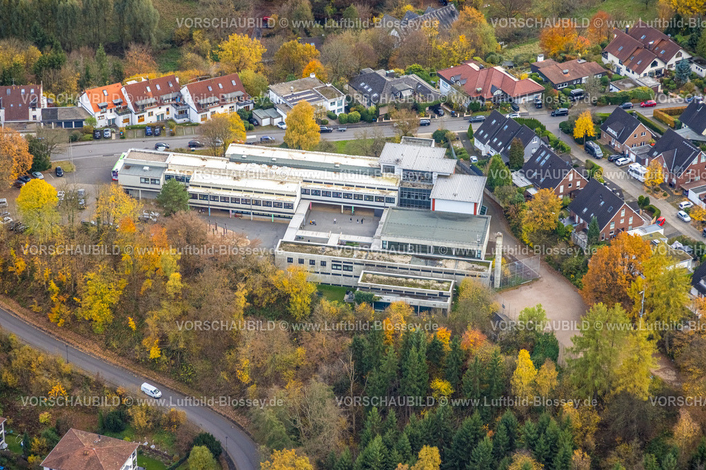 Hagen251102143 | Luftbild, Grundschule Volmetal, herbstliche Bäume, Dahl, Hagen, Ruhrgebiet, Nordrhein-Westfalen, Deutschland
