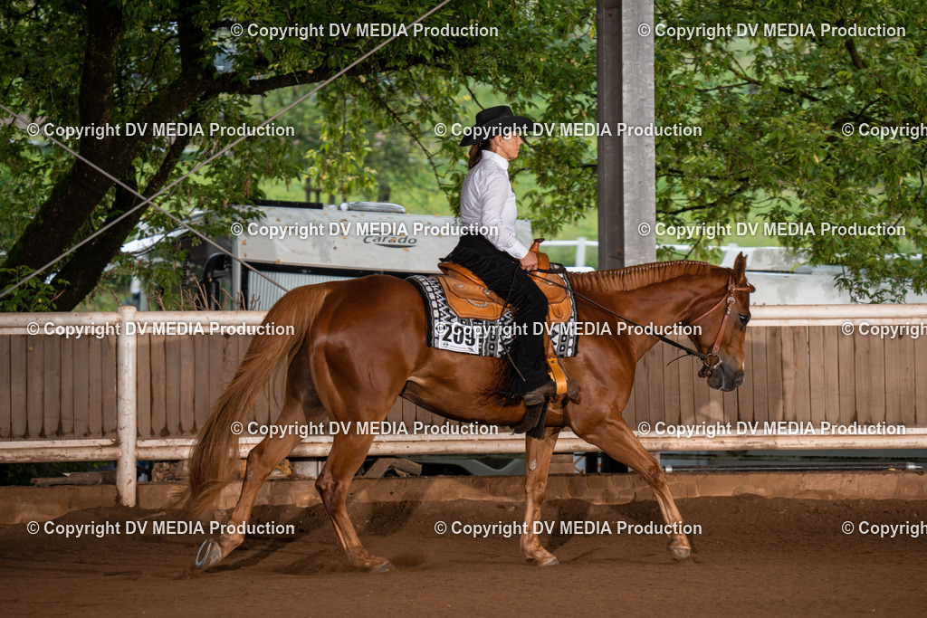 Erbach Tag 4-183 | dv-media-shop - Realisiert mit Pictrs.com