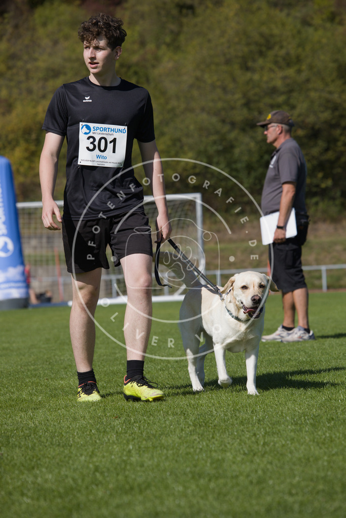 0L8A7460 | Hundefotografie, Tierfotograf, Pfotenfotografie, Fotoshooting Hund, Hunde Portrait, Hundesport, Hundeportraits, Heideshooting, Hunde, Sportfotograf, Hundefotograf, Turnierhundsport, THS,  - Realisiert mit Pictrs.com