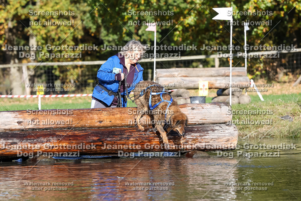 Dog Paparazzi - Strongdog 10-25-8904 | Dog Paparazzi Jeanette Grottendiek Fotografie & Videografie - Realisiert mit Pictrs.com