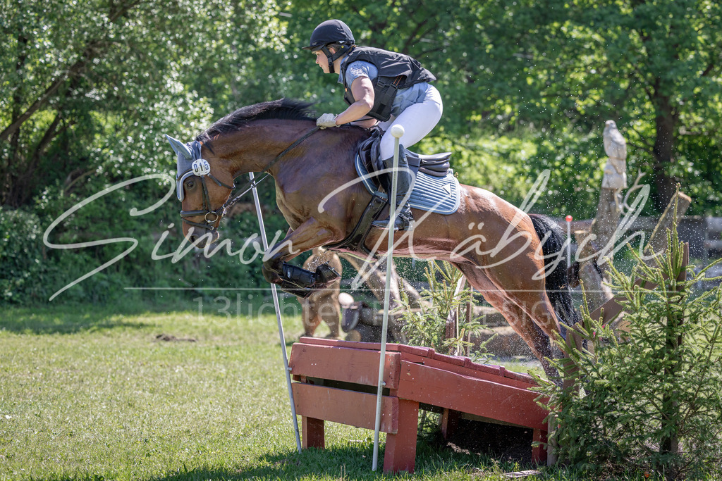20260523-_3LI7925 | Tierfotografie Pferde, Hunde, Katzen, Haustiere.
Turnierfotografie Reitturniere, Reiten, Springreiten, Dressur in Hanau, dem Main-Kinzig-Kreis und dem Rhein-Main- Gebiet um Frankfurt