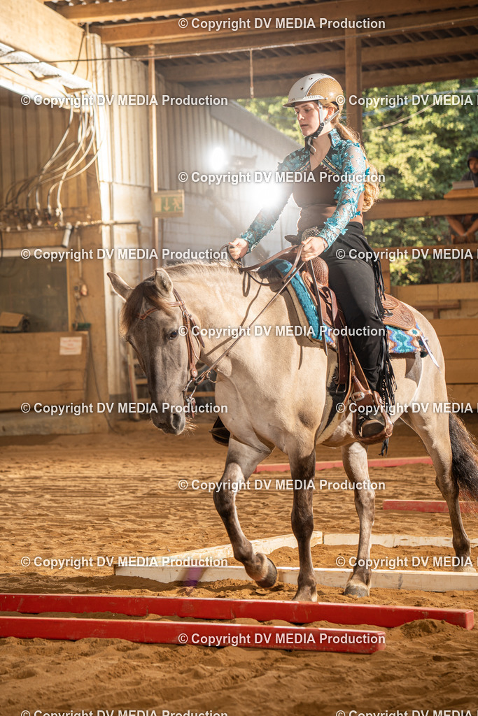 NID02550 | dv-media-shop - Realisiert mit Pictrs.com