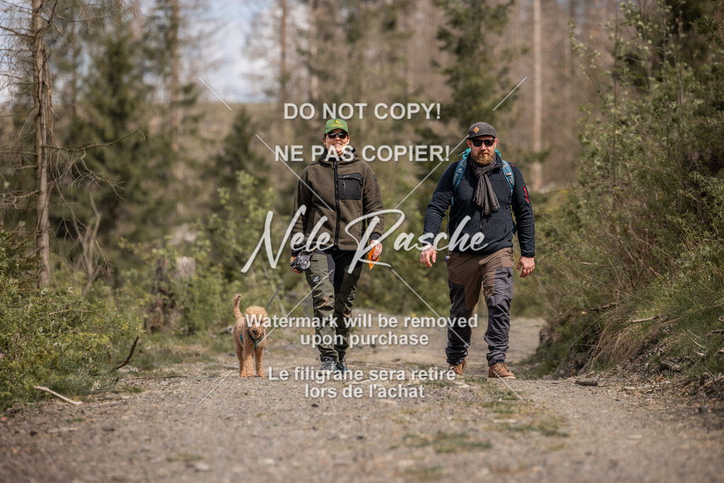 6Z1A1285 | nelerasche