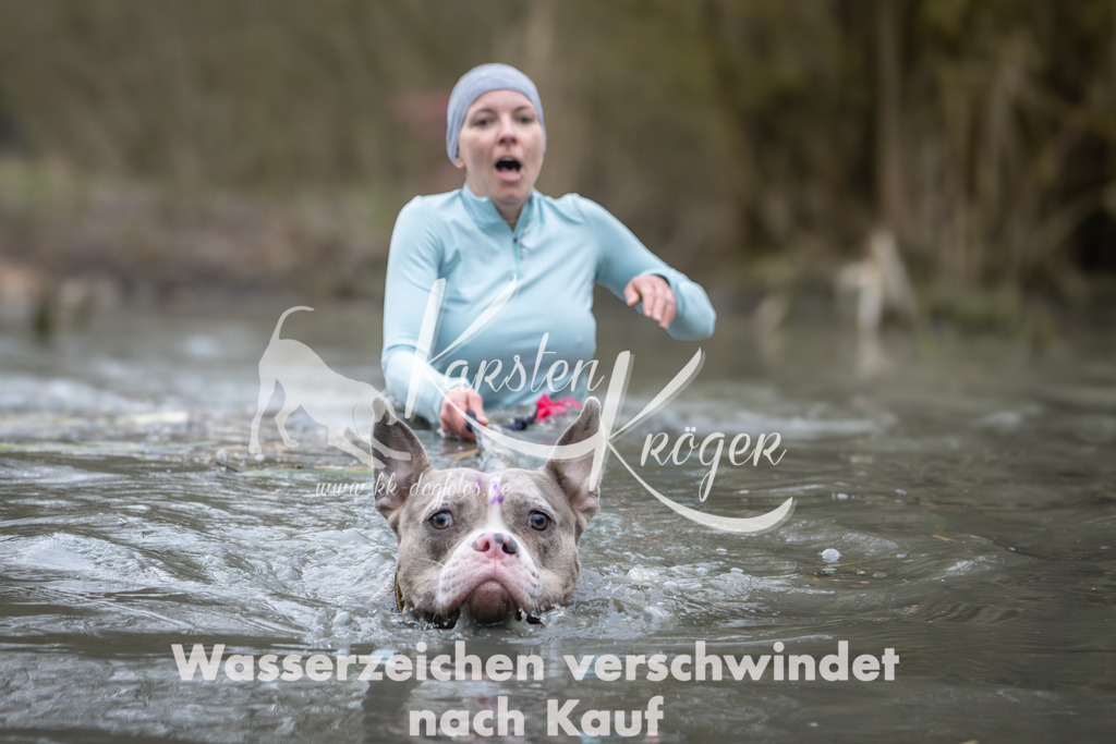 1001_ZZ95185 | kk-dogfotos