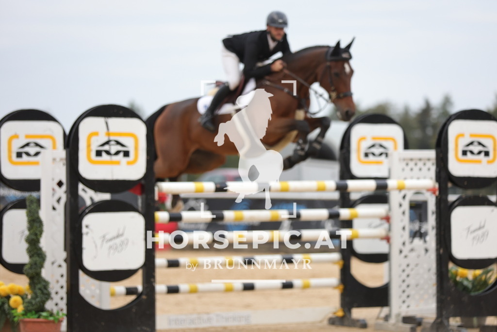 0P6A4616 | Willkommen bei Brunnmayr - Design & Fotografie – Ihrem Spezialisten für Reitturniere und Pferdeveranstaltungen in Oberösterreich, Salzburg und Bayern! Seit über 17 Jahren sind wir leidenschaftlich dabei.