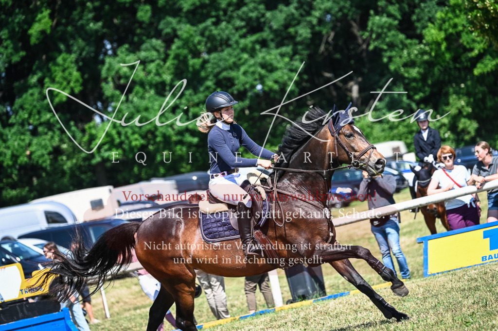 DSC_1322 | Pferde- und Turnierfotografie in Westsachsen. Pferdeportraits, Auftragszeichnungen und intuitive Kunst.