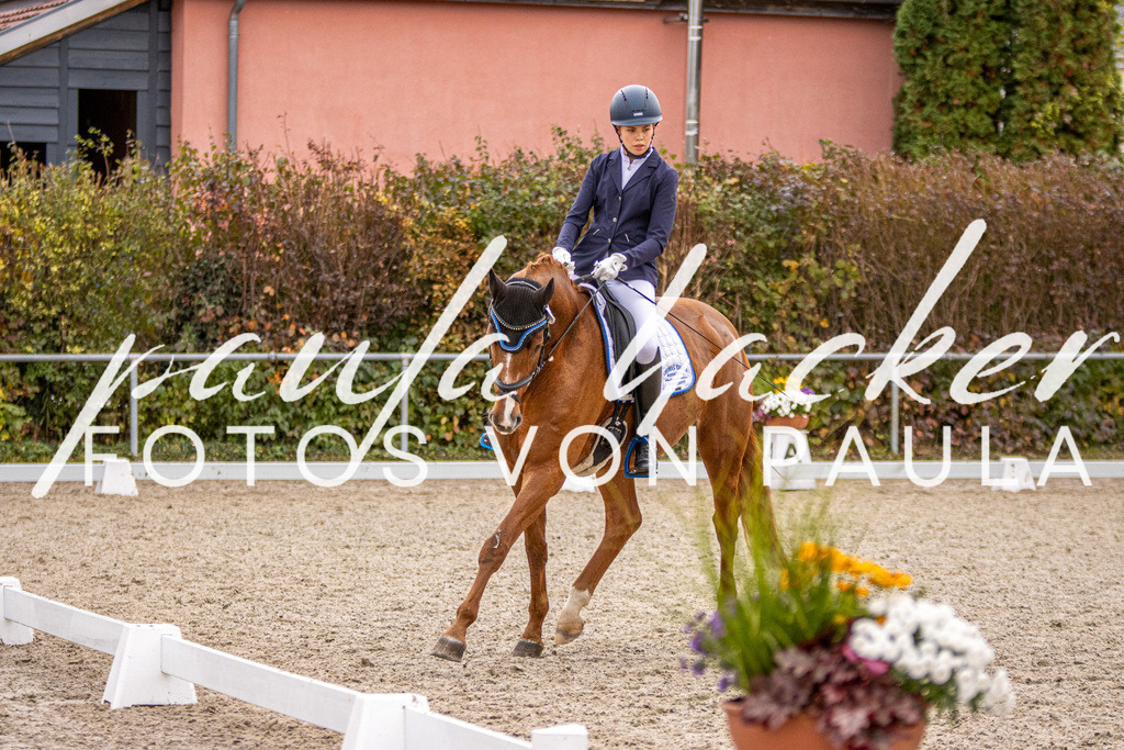 IMG_2948 | Erleben Sie dynamische Sport- und emotionale Tierfotografie in Süddeutschland mit Fotos von Paula. Spezialisiert auf Pferde- und Hundefotografie sowie Sportevents. Kontaktieren Sie mich für einzigartige und ausdrucksstarke Bilder Ihrer besonderen Momente. - Realisiert mit Pictrs.com