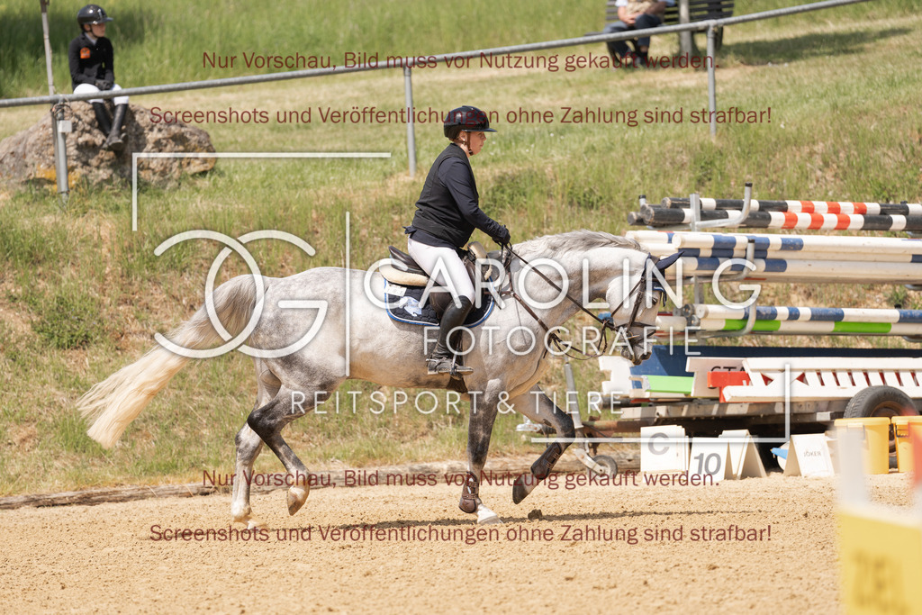 DSC06519 | Springturnier_Ehingen_Mai_2026, mia_kunze, Direktor_12