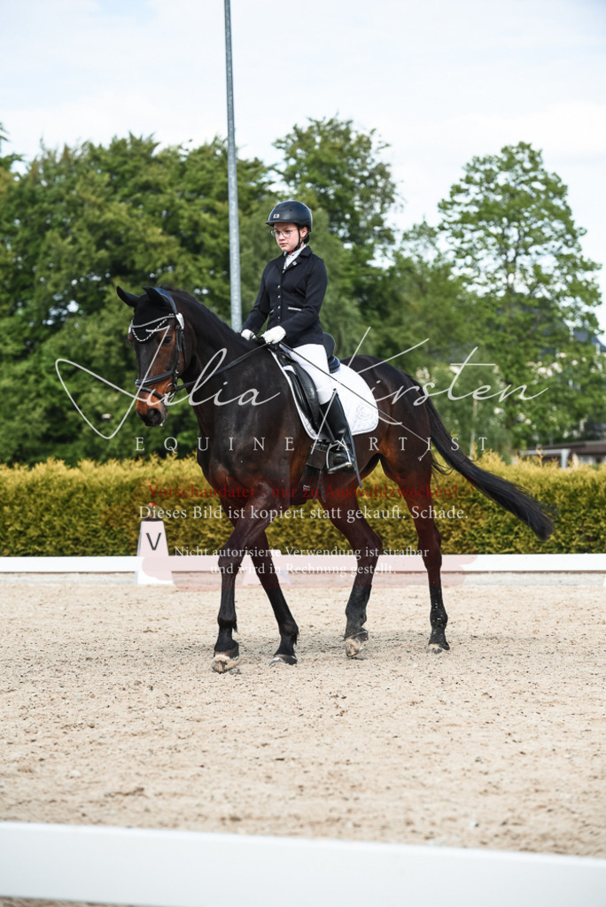 20230518_JK-Röhrsdorf-12-0745 | Pferde- und Turnierfotografie in Westsachsen. Pferdeportraits, Auftragszeichnungen und intuitive Kunst.