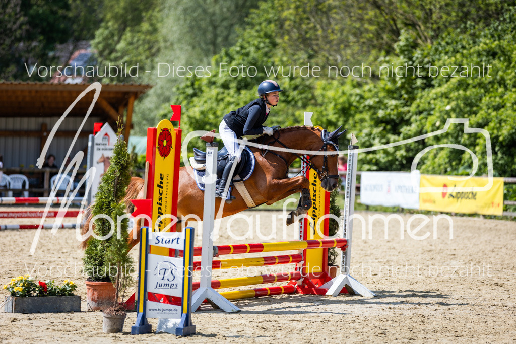 Donop24-SprRW-041 | MomenTaufnahmen Pferdesportfotos