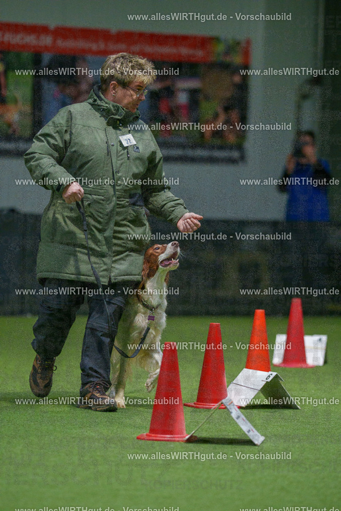 7R504794 | Professionelle Tierfotografie in Mönchengladbach von Daniel Wirth (allesWIRTHgut). Liebevolle & natürliche Bilder von Hunden & Katzen für unvergessliche Erinnerungen.