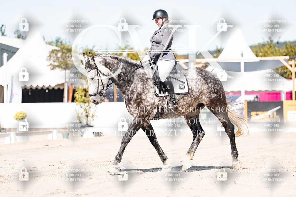 CK908991 | Turnierfotografie Pferdefotografie Trier Rheinland-Pfalz Pferdesport Reitsport Tierfotografie Sportfotografie Pferdevideo Pferdevideografie Equestrianvideography equestrianphotography  - Realisiert mit Pictrs.com