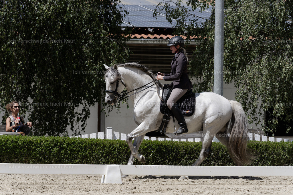 WS_DR_83_sinafilmart_IN08810 | working equitationturnier fotograf videograf stoibphotography marixx film working equitation deutschland reitsport turnierfotografie eventfotografie equestrian events