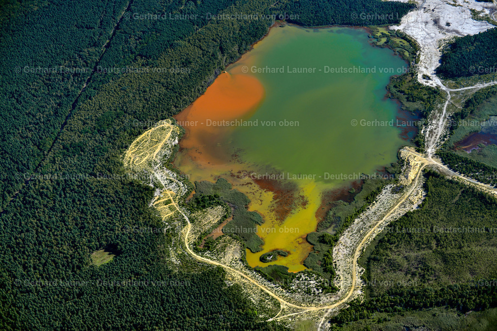3636920 | BRAUNSBEDRA 08.09.2021 Rekultivierung der ehemaligen Tagebau - Fläche an den Uferbereichen des Sees " Geiseltalsee " in Braunsbedra im Bundesland Sachsen-Anhalt, Deutschland. // Open pit re cultivation on the shores of the lake " Geiseltalsee " in Braunsbedra in the state Saxony-Anhalt, Germany. Foto: Gerhard Launer