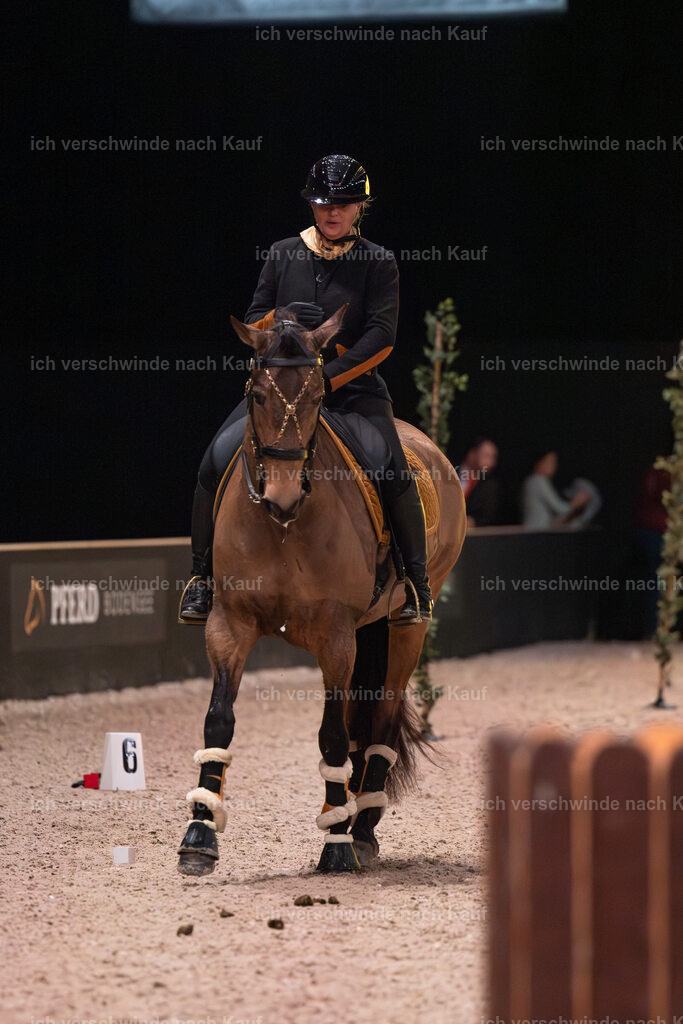 JoseraCup-37 | working equitationturnier fotograf videograf stoibphotography marixx film working equitation deutschland reitsport turnierfotografie eventfotografie equestrian events