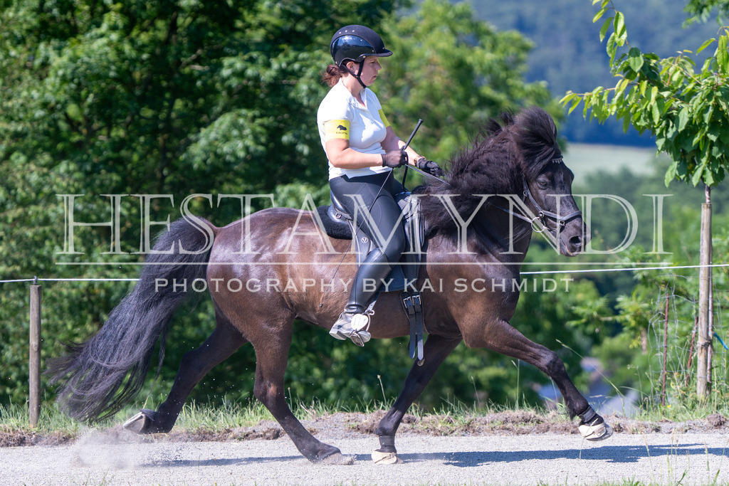 KAI06226 | Ihr sucht einen Fotografen für eure nächste OSI? Ich begleite auch euer Turnier für Islandpferde fotografisch.  - Realisiert mit Pictrs.com