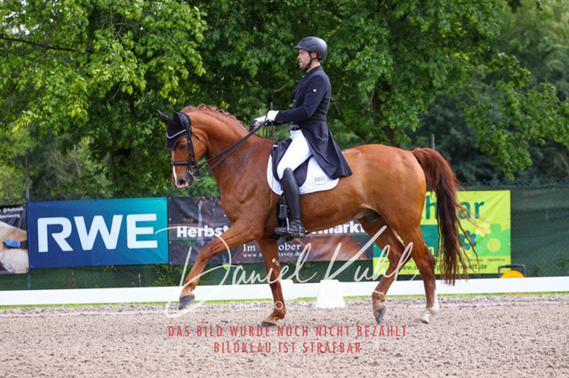 DKP41286 | Deine Turnierfotos vom Reitturnier online kaufen: Dressur, Springen & Siegerehrung. Professionelle Pferdefotografie aus dem Rheinland – als Download & Print.Alternative: Turnierfotograf für den Pferdesport: Finde deine Fotos von Dressur- und Springturnier