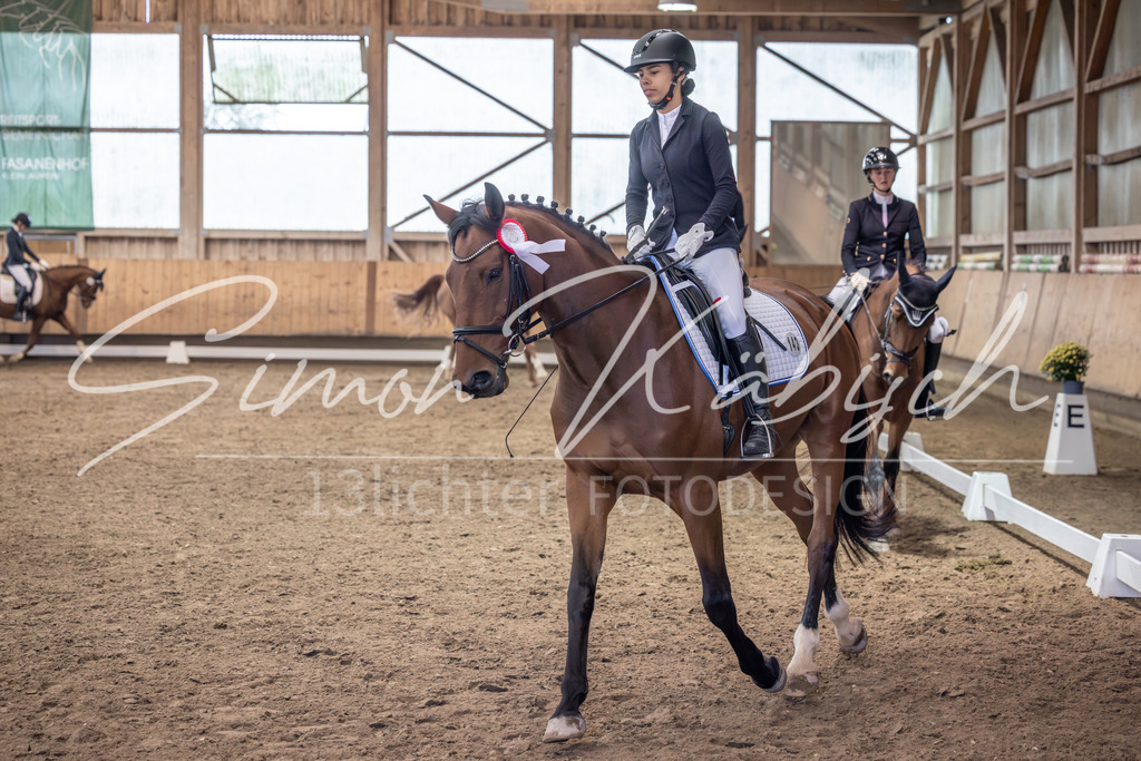 20251011-_3LI0906 | Tierfotografie Pferde, Hunde, Katzen, Haustiere.
Turnierfotografie Reitturniere, Reiten, Springreiten, Dressur in Hanau, dem Main-Kinzig-Kreis und dem Rhein-Main- Gebiet um Frankfurt