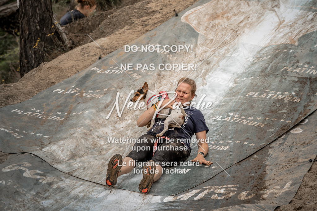 nelerasche_sa1700-Ende_102 | nelerasche