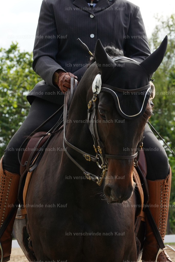 KlasseL_Lucie (7) | working equitationturnier fotograf videograf stoibphotography marixx film working equitation deutschland reitsport turnierfotografie eventfotografie equestrian events