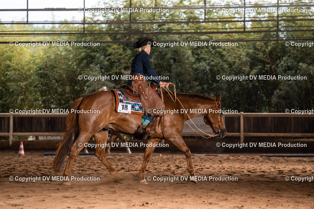 Erbach Tag 2-629 | dv-media-shop - Realisiert mit Pictrs.com