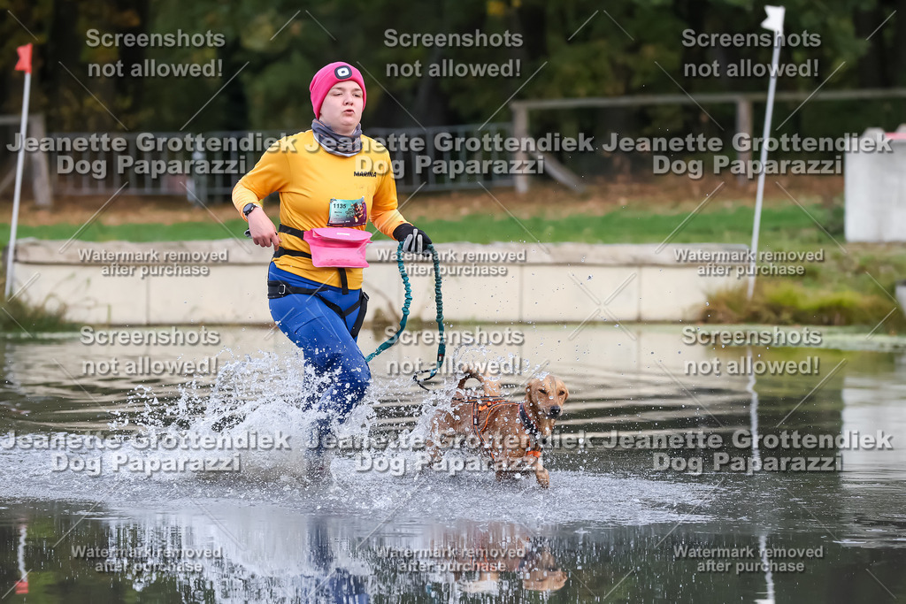 Dog Paparazzi - Strongdog 10-25-6456 | Dog Paparazzi Jeanette Grottendiek Fotografie & Videografie - Realisiert mit Pictrs.com