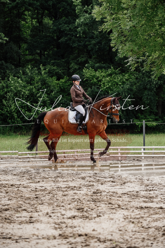 DSC_9488 | Pferde- und Turnierfotografie in Westsachsen. Pferdeportraits, Auftragszeichnungen und intuitive Kunst.