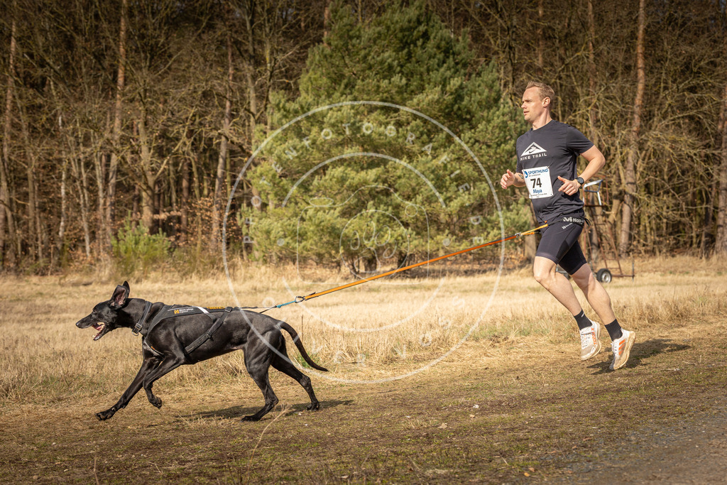 DV3A5675 | Hundefotografie, Tierfotograf, Pfotenfotografie, Fotoshooting Hund, Hunde Portrait, Hundesport, Hundeportraits, Heideshooting, Hunde, Sportfotograf, Hundefotograf, Turnierhundsport, THS,  - Realisiert mit Pictrs.com