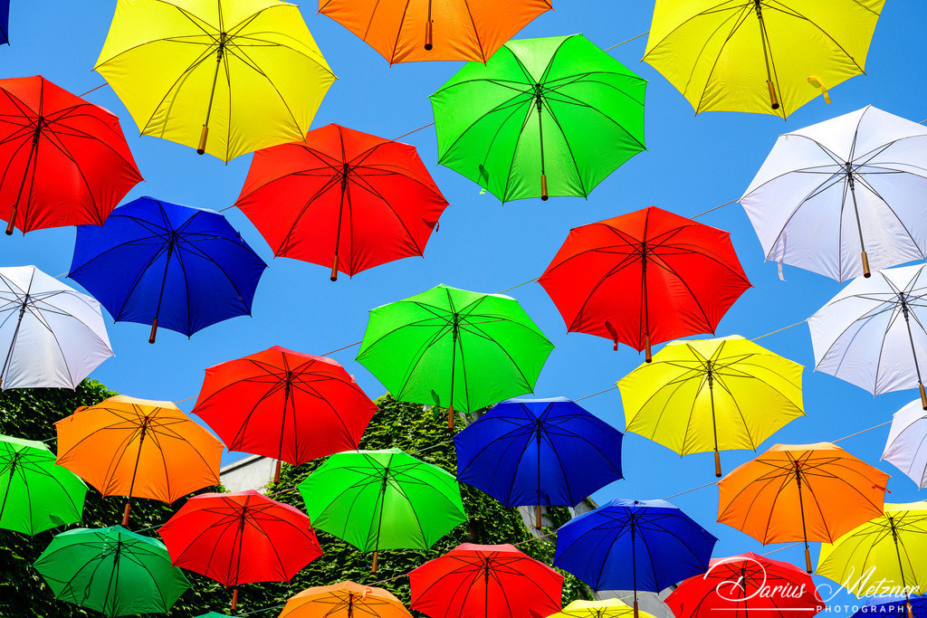 Umbrella Sky Projekt in Mainz in der Rotkopfgasse | Umbrella Sky Projekt in Mainz in der Rotkopfgasse