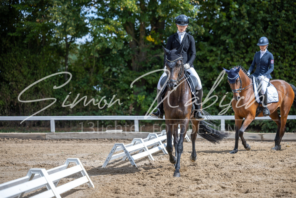 20260905-_3LI8007 | Tierfotografie Pferde, Hunde, Katzen, Haustiere.
Turnierfotografie Reitturniere, Reiten, Springreiten, Dressur in Hanau, dem Main-Kinzig-Kreis und dem Rhein-Main- Gebiet um Frankfurt